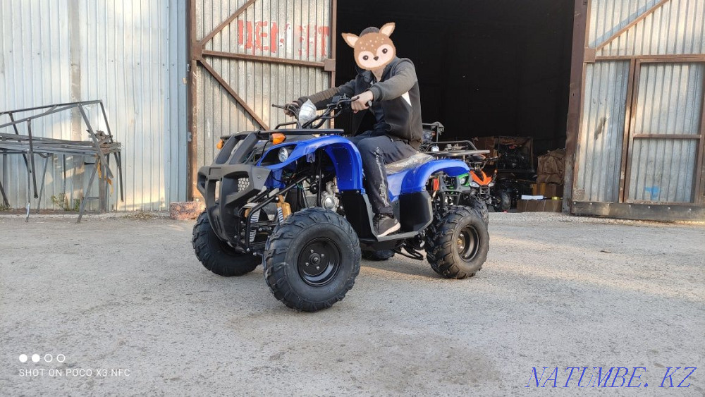 ATVs 50,110,125cc Pavlodar Pavlodar - photo 3