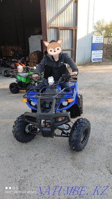 Квадроциклы 50,110,125 (Есиль)  - изображение 7