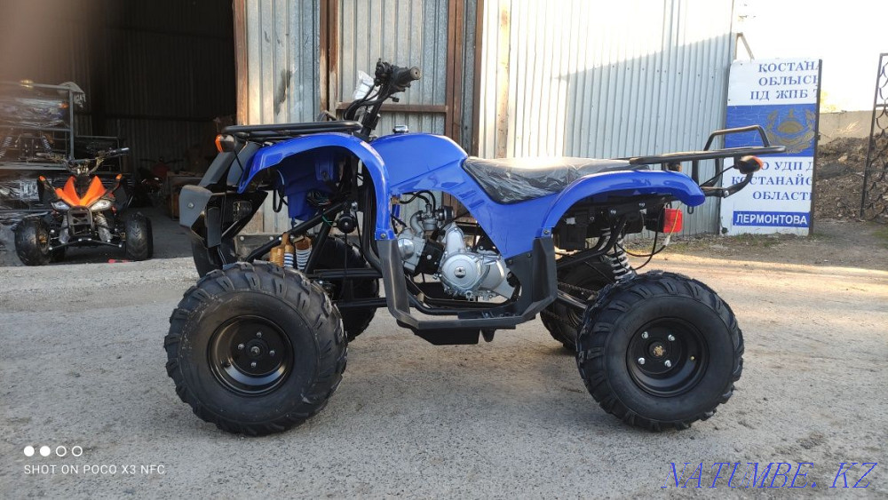 Квадроциклы 50,110,125 (Есиль)  - изображение 1