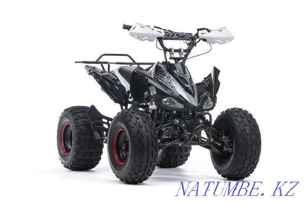 ATV BSE XT-1 Pavlodar - photo 1