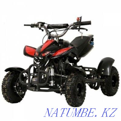 ATVs, tricycles, scooters/9 Oral - photo 6