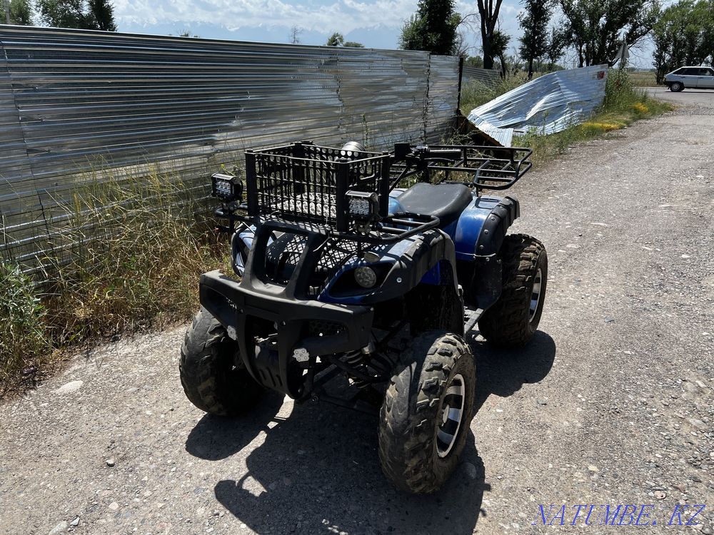 Квадроцикл Алматы - изображение 2