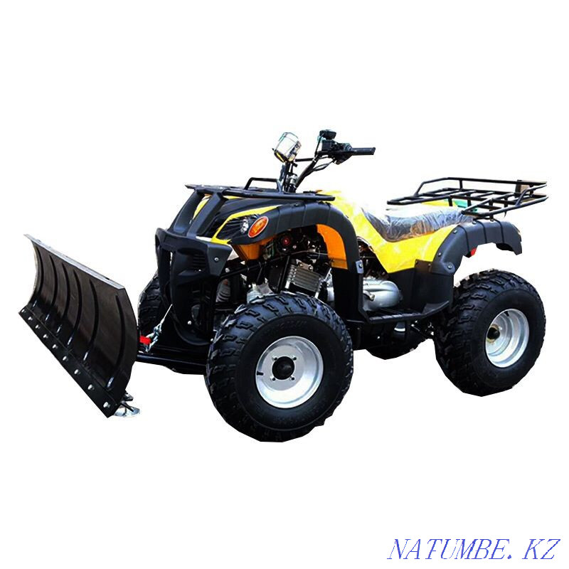 ATVs 50,125,250 (Delivery to Taraz) Taraz - photo 2
