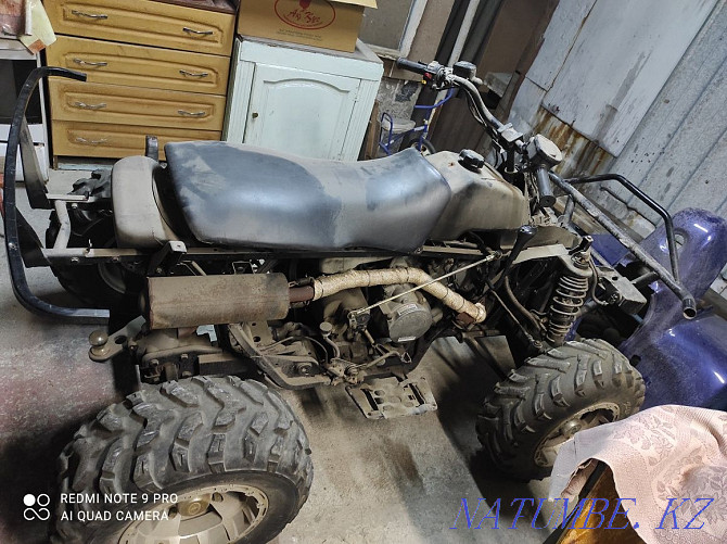 ATV Polaris Almaty - photo 2