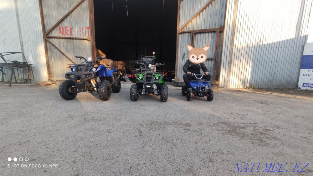 ATV 50,110,125,250cc 4x4 (Семей)  отбасы  - изображение 5