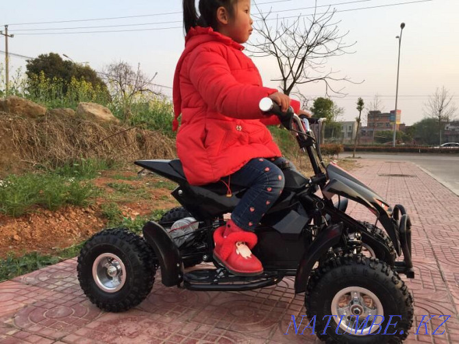 ATVs, Tricycles, Motoscooters/1 Astana - photo 4