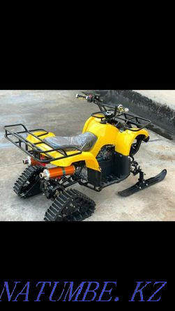 Snowmobiles Karagandy - photo 6