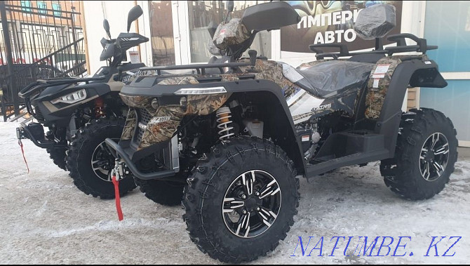 Snowmobiles, ATVs, motorized dogs, scooters, to order Temirtau - photo 1