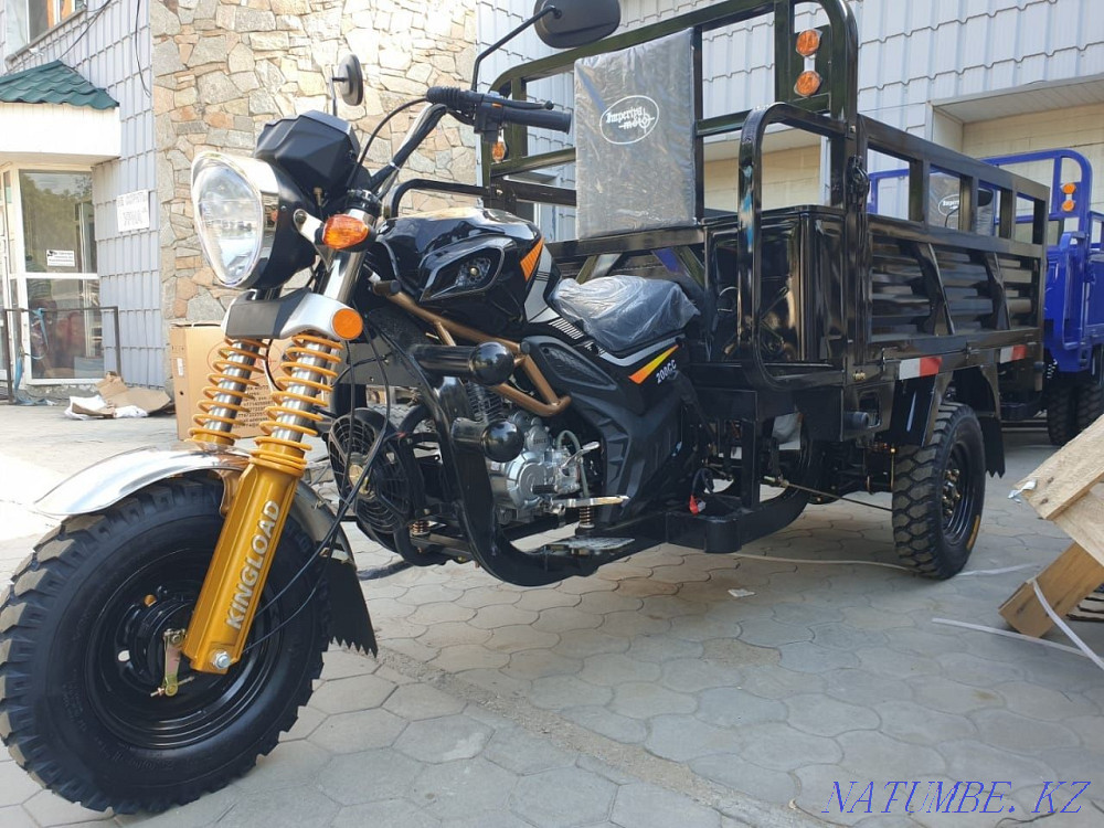 Снегоходы, квадроциклы, мотособаки мотороллеры, на заказ Темиртау - изображение 7