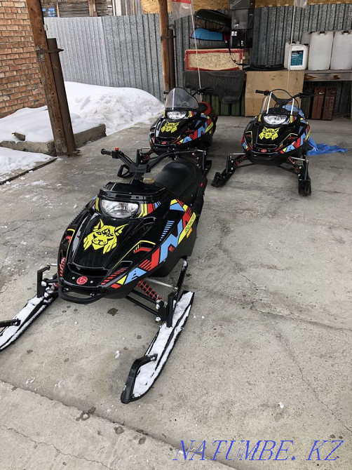Snowmobile lynx Ust-Kamenogorsk - photo 3