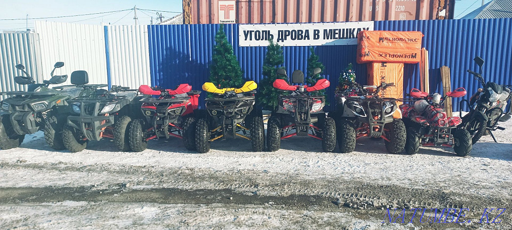 Мототехника, квадроциклы, снегоходы. Усть-Каменогорск - изображение 6