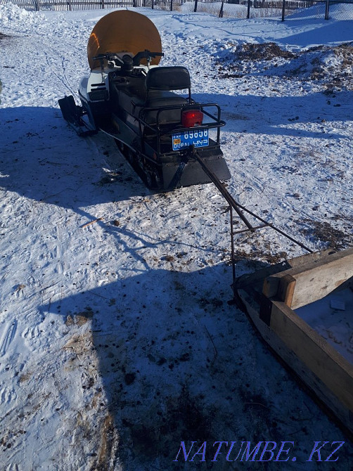 Снегоход Рысь500+  - изображение 1