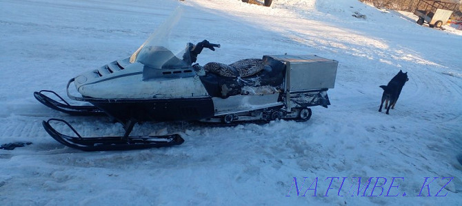 Sell snowmobile lynx 440 in working condition  - photo 7