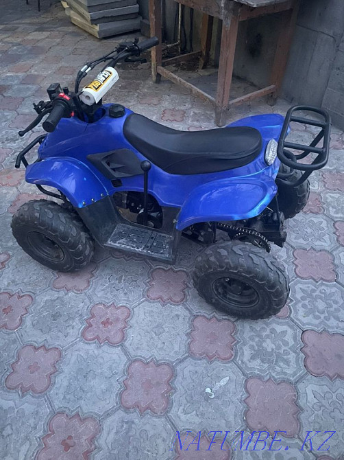 Квадроцикл-снегоход 125 куб Павлодар - изображение 2