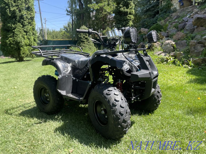 ATV-snowmobile Almaty - photo 3