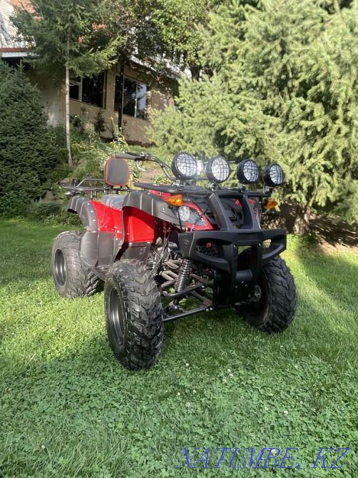 Квадроцикл снегоход Алматы - изображение 5