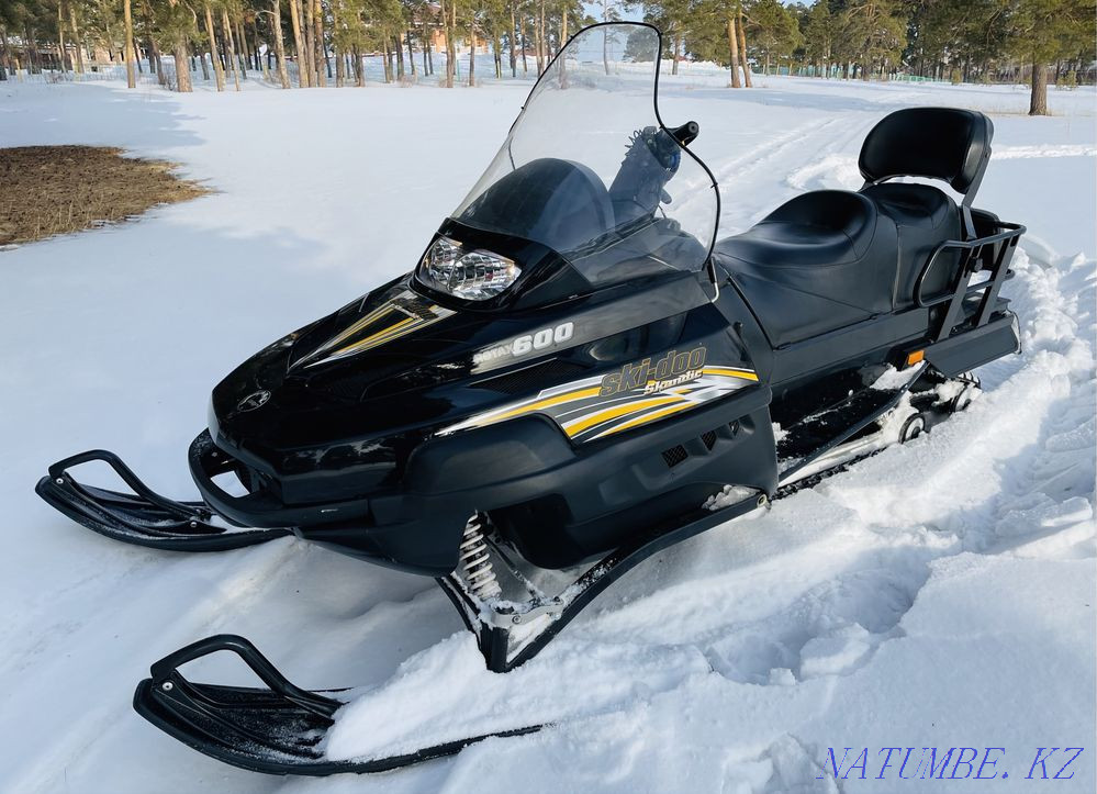 Гусеница brp ski doo