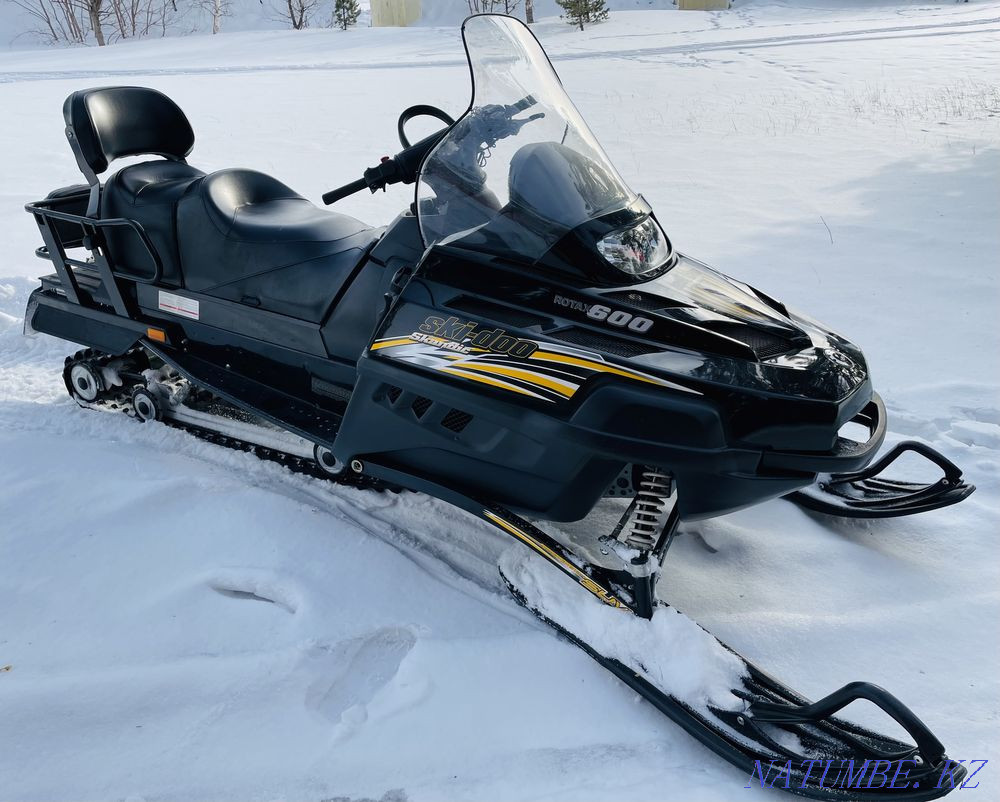 Brp ski doo legend