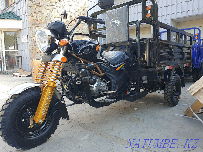 Cargo tricycle "BARYS" 200 Pavlodar - photo 4