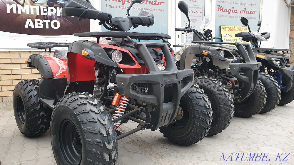 Motorcycle dealership offers a cargo tricycle 