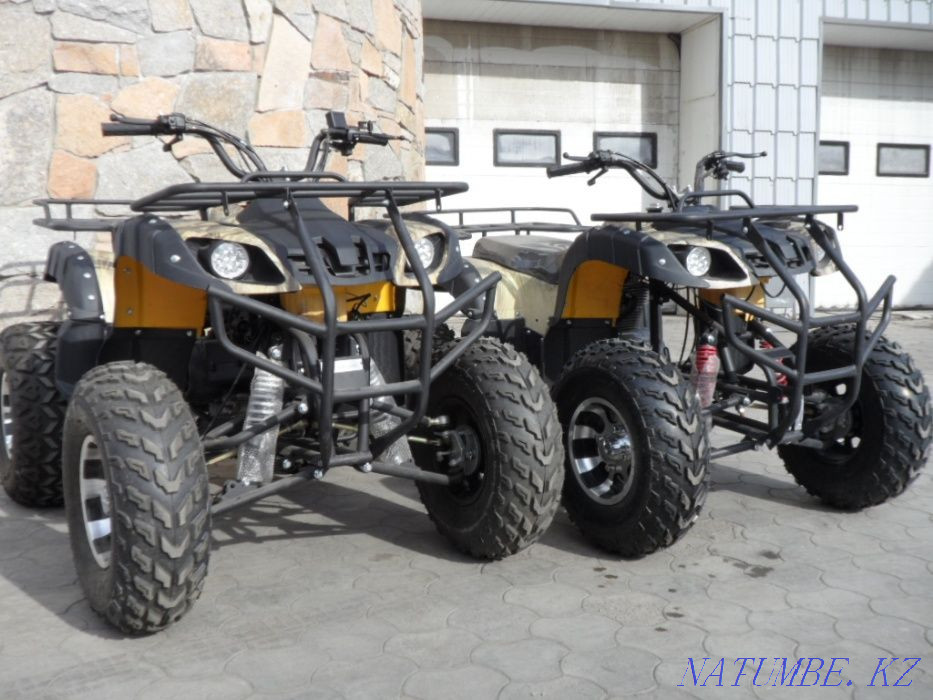 Sell scooter FORCE 180. Oral - photo 5