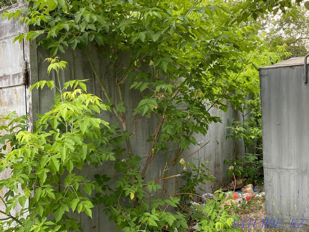 Гараж на 17мкр срочно 600000цена до конца дня Караганда - изображение 4