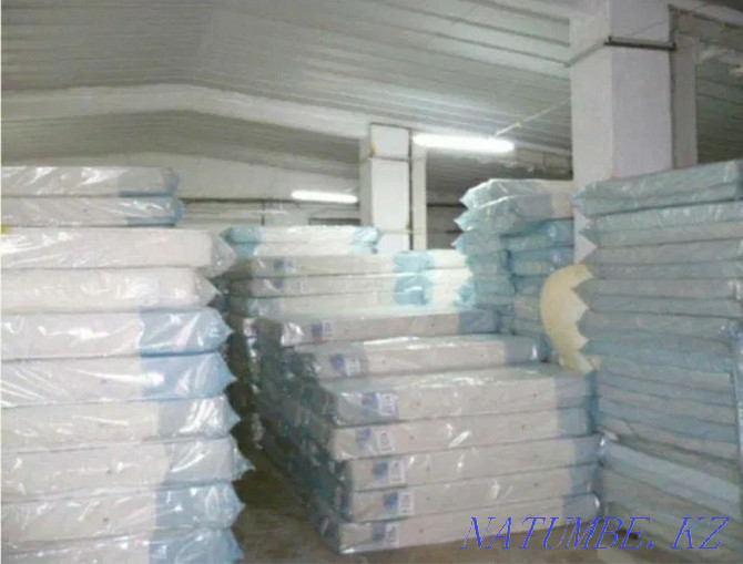 Mattress, Orthopedic mattresses, Spring and springless mattresses Taraz - photo 7