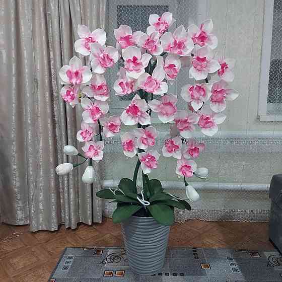 Орхидеи светильник  Орал