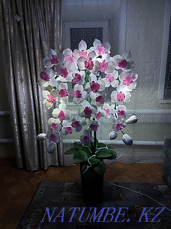 orchid lamp Oral - photo 2