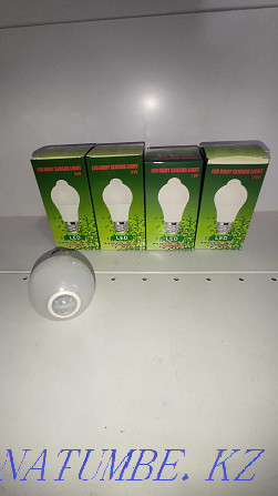Light bulb with motion sensor. Lamp. Ice. Lighting. LED. Karagandy - photo 4