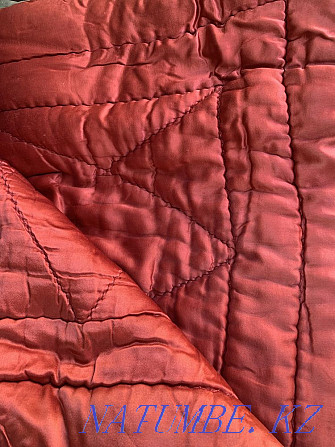 Одеяло ватное Мичуринское - изображение 2