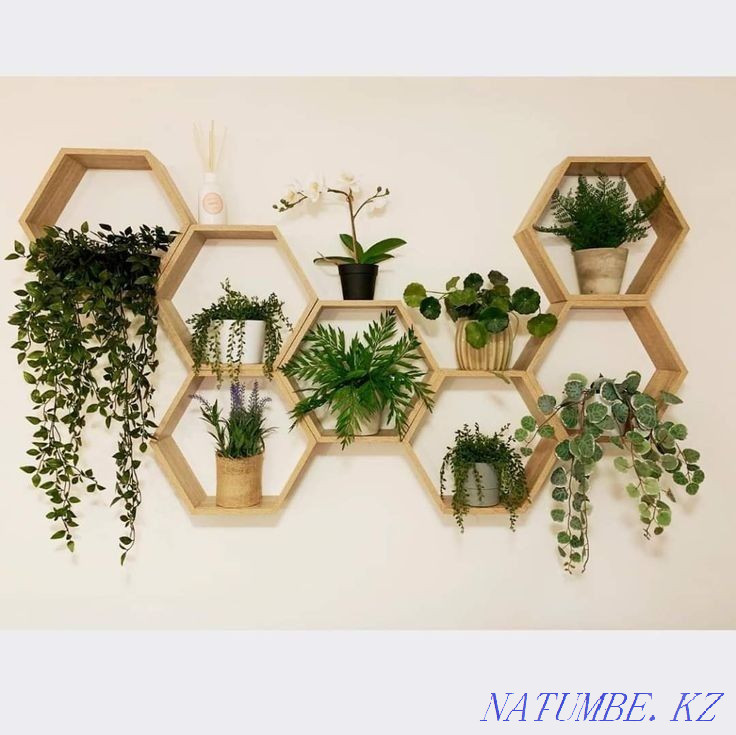 Hexagonal shelf Almaty - photo 4
