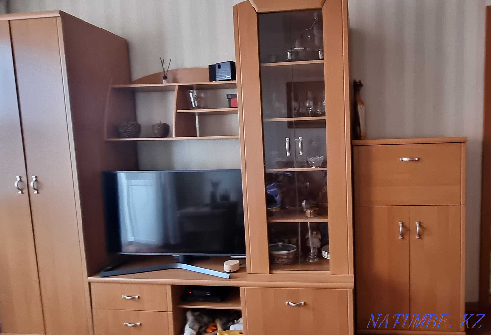 Living room wall Petropavlovsk - photo 2