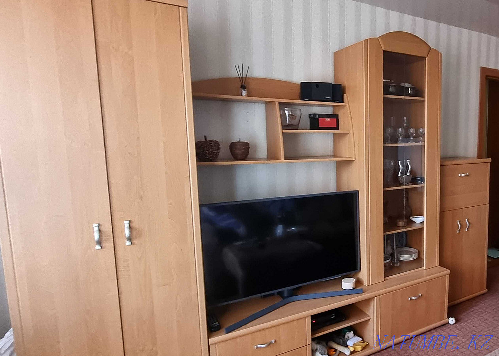 Living room wall Petropavlovsk - photo 1