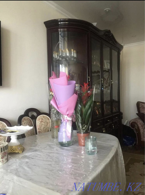 Гостиная Италия Конаев - изображение 6