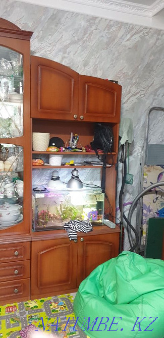 Продам шкаф, стенку, гарнитур для гостиной Актобе - изображение 4