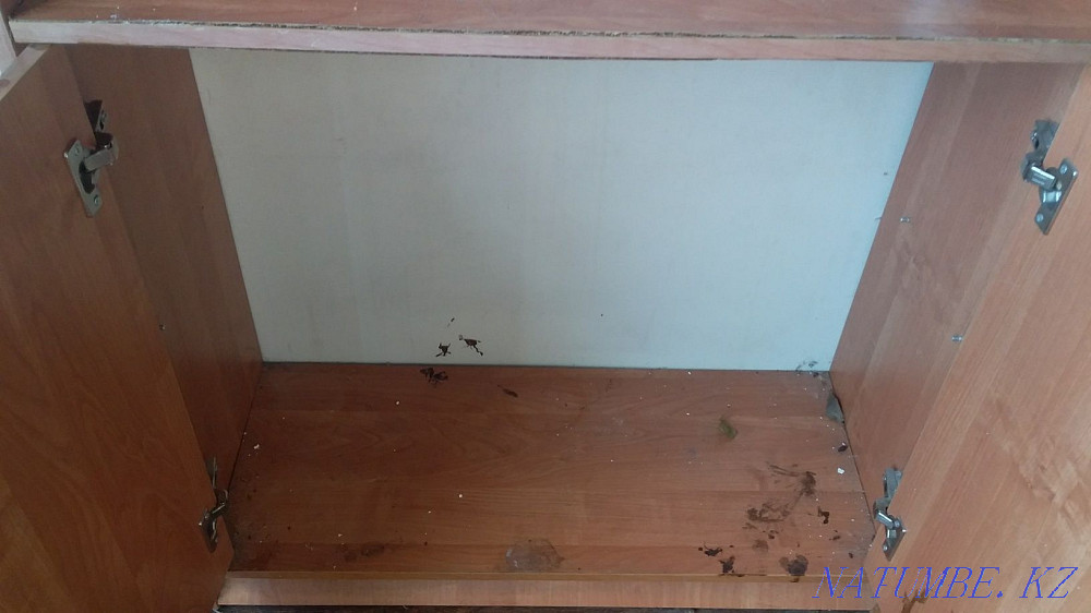 Шкаф и стеллаж 5000 тенге каждый Караганда - изображение 2