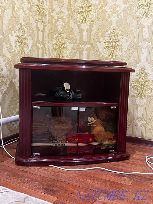 Тумба-шкаф под телевизор Семей - изображение 2