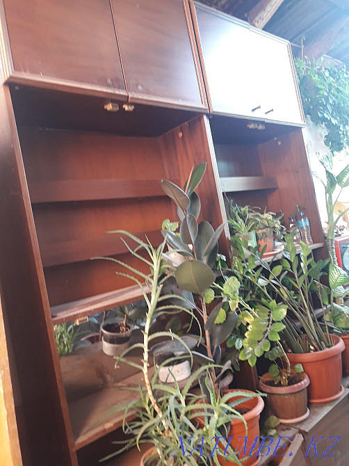 Советская Стенка для зала Алмалы - изображение 1