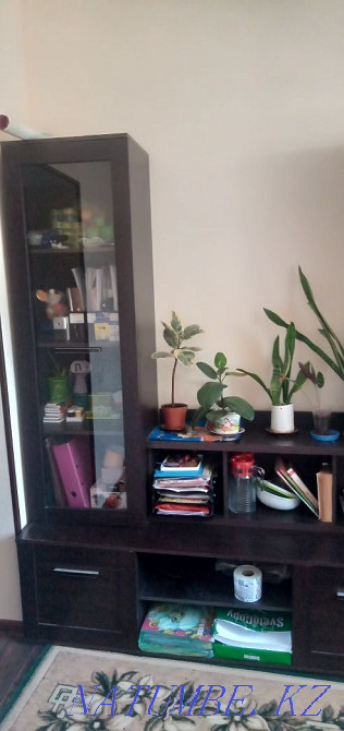 Қонақ бөлмеге арналған қабырға (жинақ). Шымкент - изображение 1