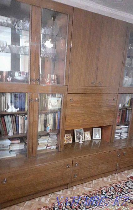 Living room wall Kapshagay - photo 2