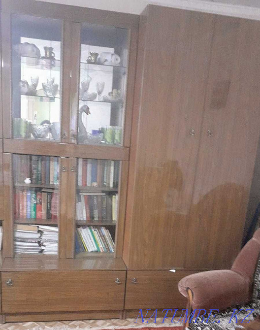 Living room wall Kapshagay - photo 3