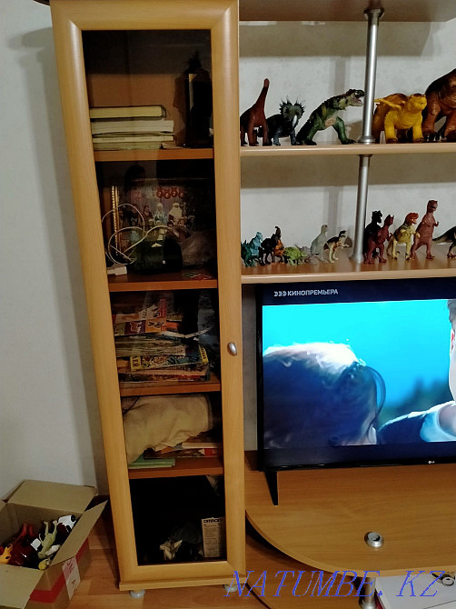 TV wall Kostanay - photo 4