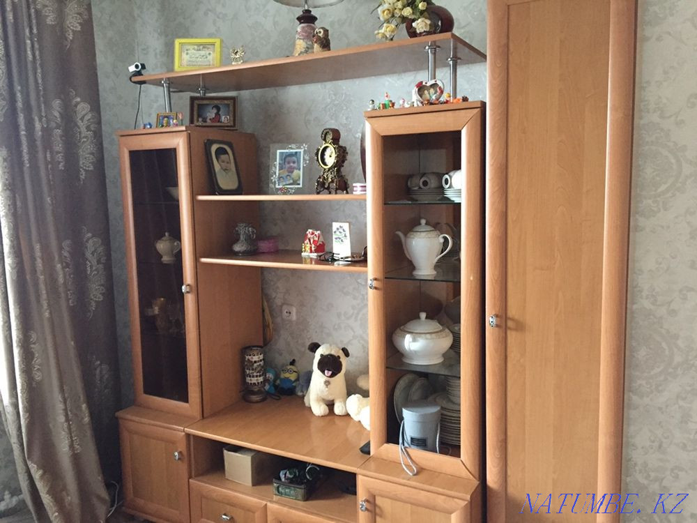 I will sell a wall Stepnogorskoye - photo 1