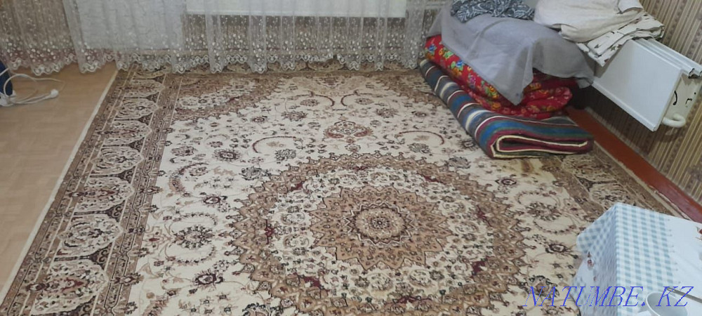 Entrance hall 30000 tenge, carpet 20000 tenge, slide in the living room 15000 tenge Taraz - photo 3