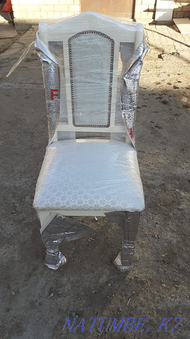 Chairs new deputy Oral - photo 2