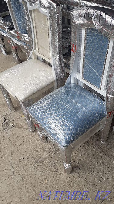 Chairs new deputy Oral - photo 1