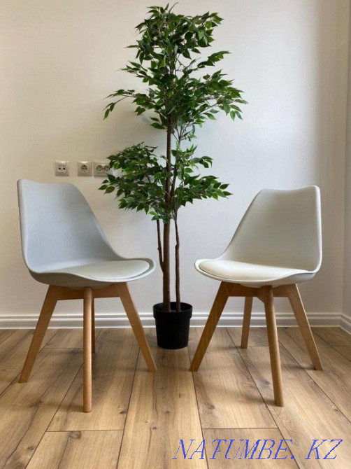 Chairs Frankfurt (marko) Promotion until the end of the month!!! Almaty - photo 1