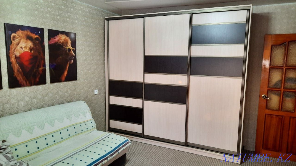 В Кредит. Прихожие шкафы-купе Павлодар - изображение 5