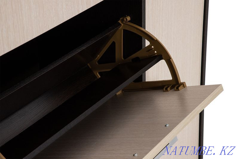 Cabinet for shoes 3D 1Ya, modular system Delhi, Wenge, Stand furniture Kyzylorda - photo 6